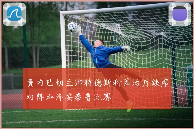 费内巴切主帅特德斯科因治疗缺席对阵加济安泰普比赛