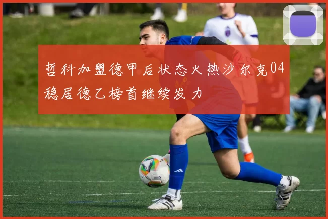 哲科加盟德甲后状态火热沙尔克04稳居德乙榜首继续发力