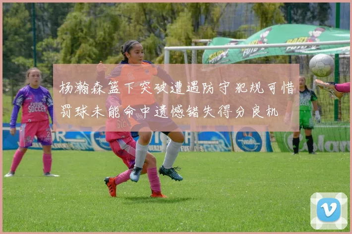 杨瀚森篮下突破遭遇防守犯规可惜罚球未能命中遗憾错失得分良机
